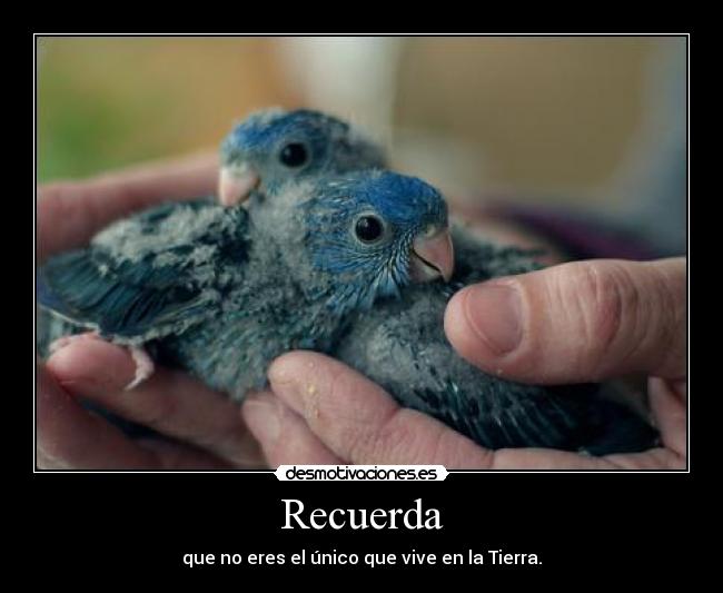 carteles hoy estoy demasiado sensible tifani9 desmotivaciones