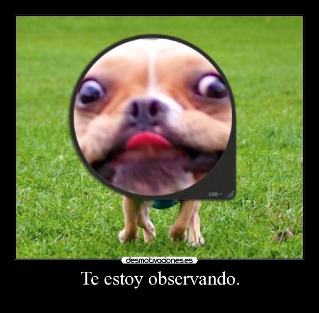 Te estoy observando. - 