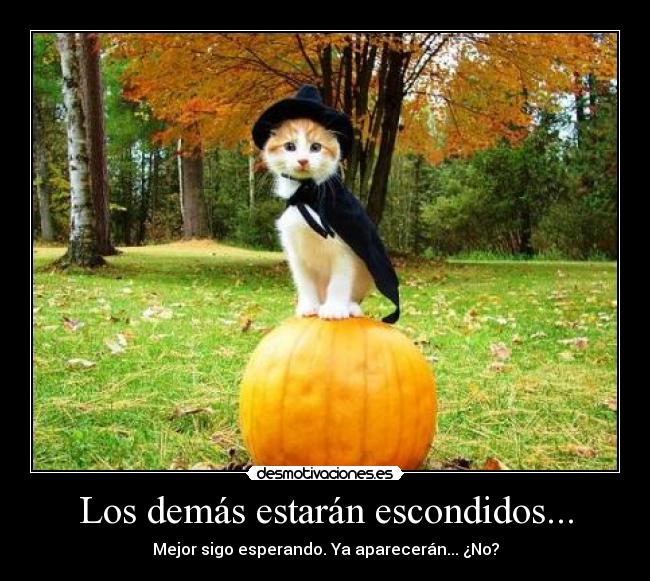 carteles hola soy cartel sin sentido chorra luuu je que chispa desmotivaciones