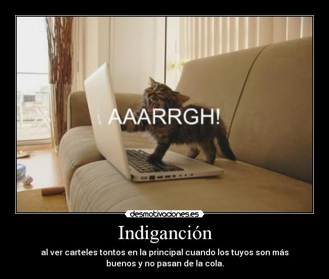 Indiganción - al ver carteles tontos en la principal cuando los tuyos son más
buenos y no pasan de la cola.