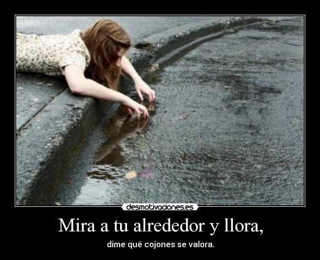 Mira a tu alrededor y llora, - 