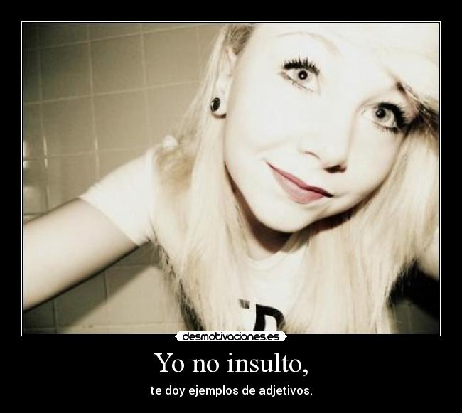 Yo no insulto, - te doy ejemplos de adjetivos.