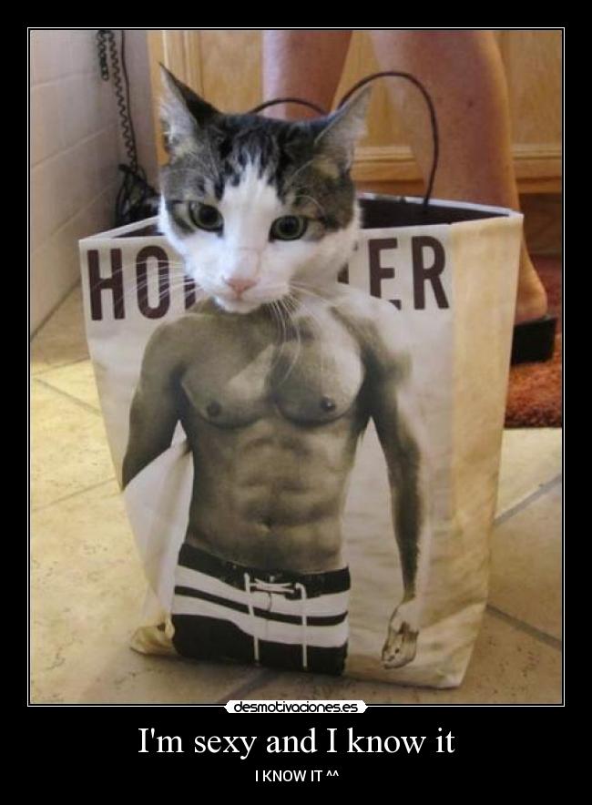 Im sexy and I know it -
