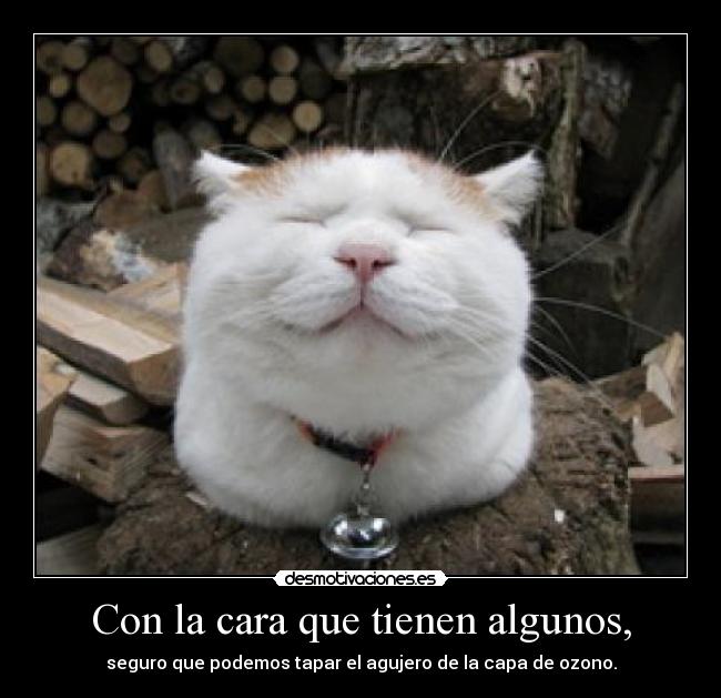 Con la cara que tienen algunos, - seguro que podemos tapar el agujero de la capa de ozono.