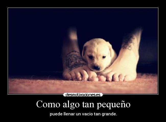 Como algo tan pequeño - puede llenar un vacio tan grande.