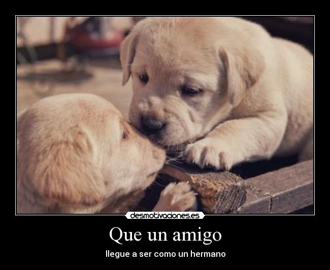 Que un amigo - llegue a ser como un hermano