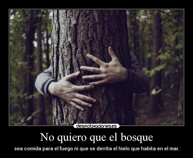 No quiero que el bosque -