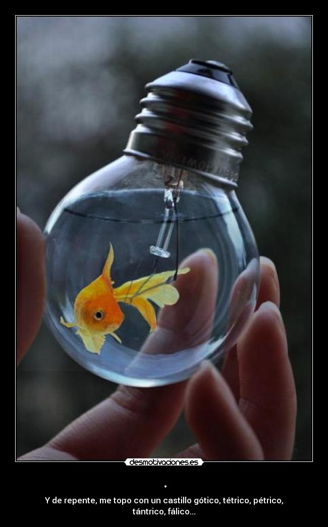 . - Y de repente, me topo con un castillo gótico, tétrico, pétrico, tántrico, fálico...