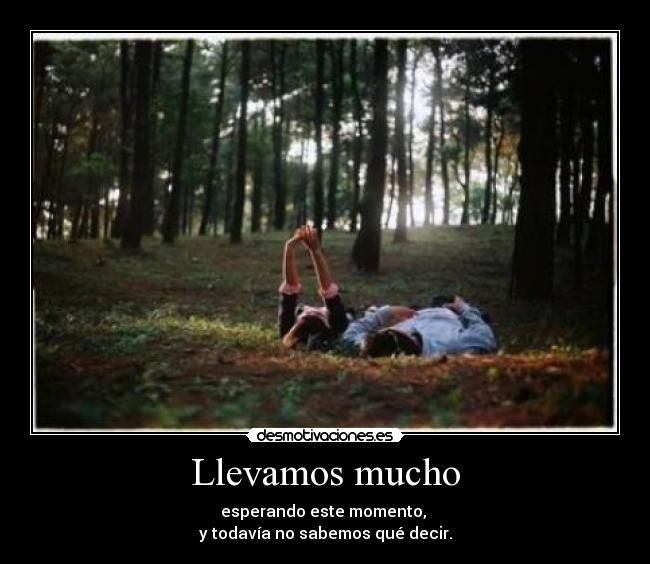 Llevamos mucho - esperando este momento,
y todavía no sabemos qué decir.