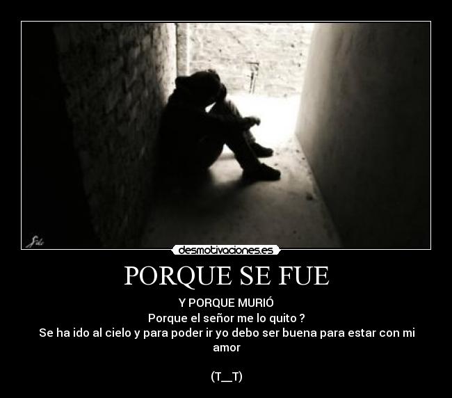 carteles porque fue porque murio desmotivaciones