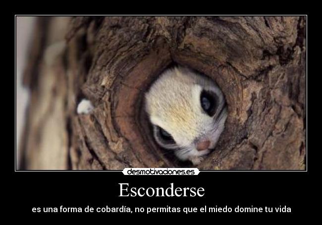 Esconderse - 