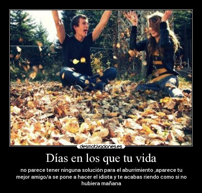 Días en los que tu vida -