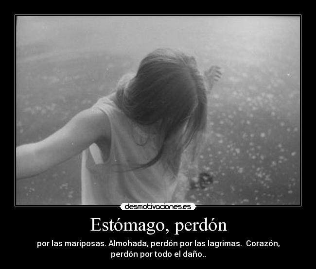 Estómago, perdón -