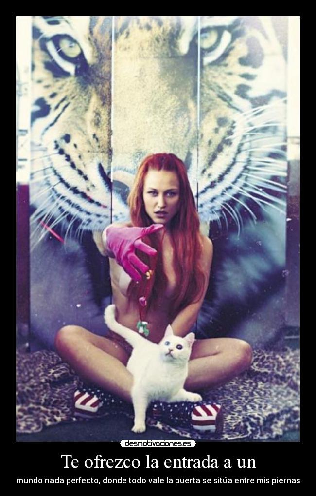 carteles boletos por privado desmotivaciones