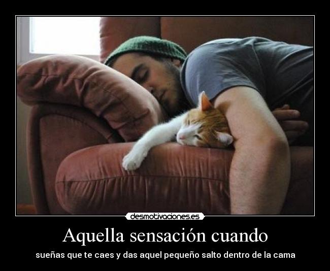 Aquella sensación cuando - sueñas que te caes y das aquel pequeño salto dentro de la cama