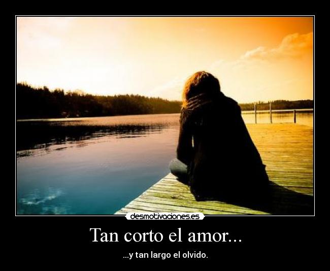 Tan corto el amor... - ...y tan largo el olvido.