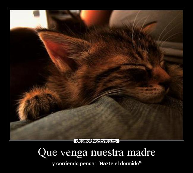 Que venga nuestra madre - y corriendo pensar Hazte el dormido