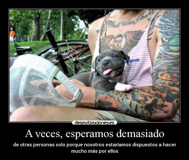 A veces, esperamos demasiado - 