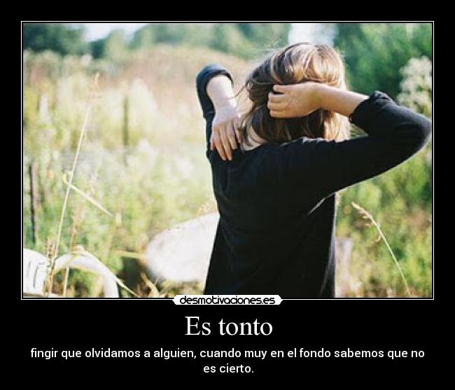 carteles tonto tonto fingir desmotivaciones