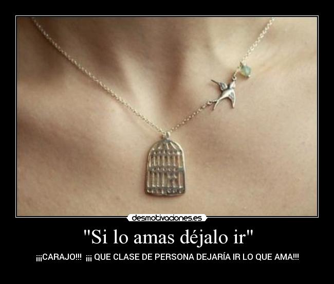 carteles bernardo ramos alvarez desmotivaciones