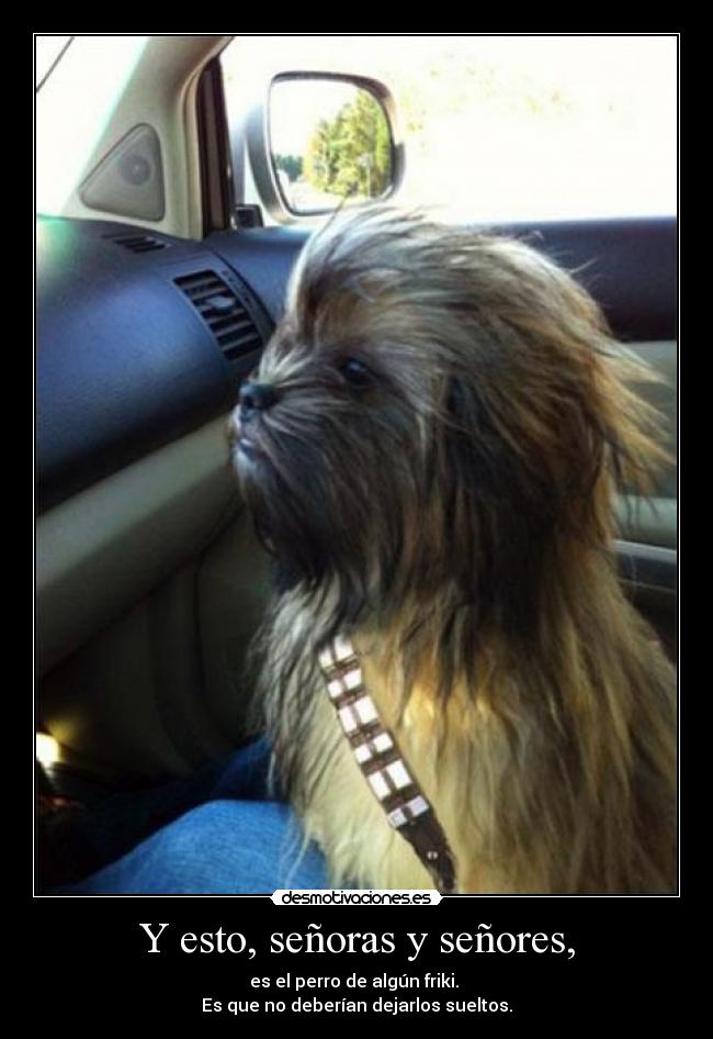 carteles para evitar gilipolleces vuestras soy gran friki mentes cerradas desmotivaciones