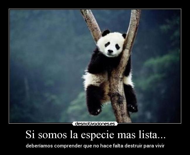 Si somos la especie mas lista... - deberíamos comprender que no hace falta destruir para vivir