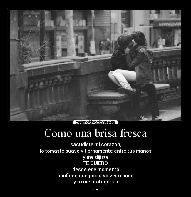 Como una brisa fresca - sacudiste mi corazón,
lo tomaste suave y tiernamente entre tus manos
y me dijiste
TE QUIERO
desde ese momento
confirmé que podía volver a amar
y tu me protegerías
....