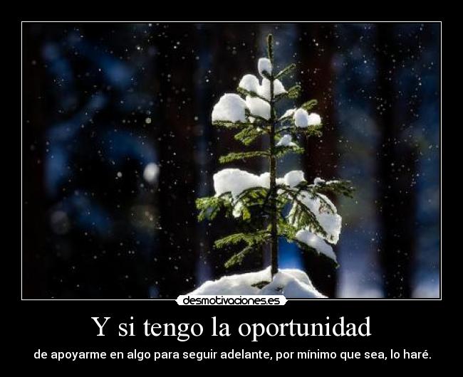 Y si tengo la oportunidad - de apoyarme en algo para seguir adelante, por mínimo que sea, lo haré.
