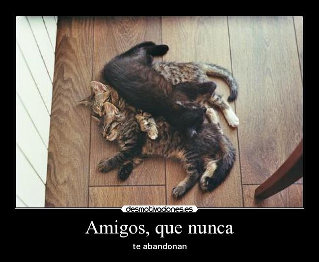 Amigos, que nunca - te abandonan