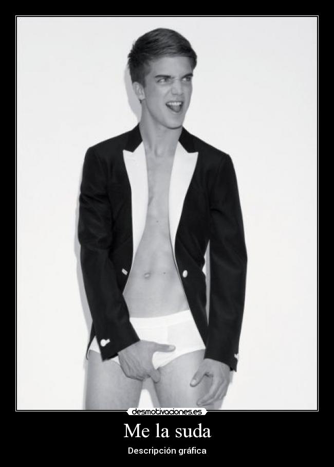 Me la suda - Descripción gráfica