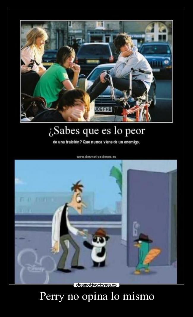 Perry no opina lo mismo -