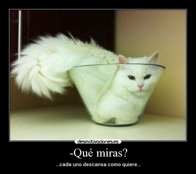 -Qué miras? - ...cada uno descansa como quiere...