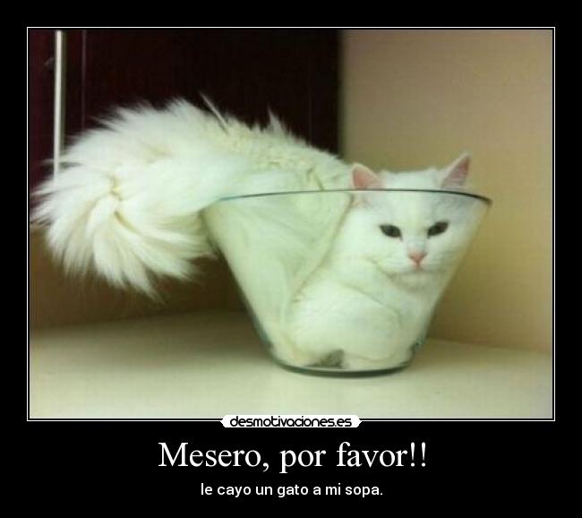Mesero, por favor!! -