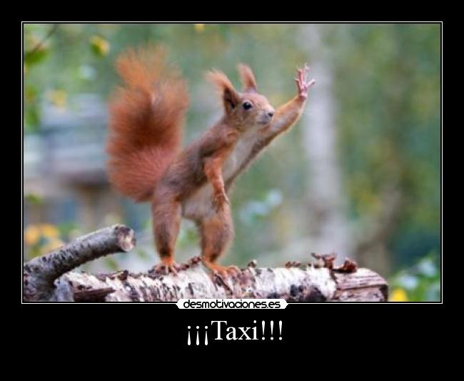 ¡¡¡Taxi!!! -