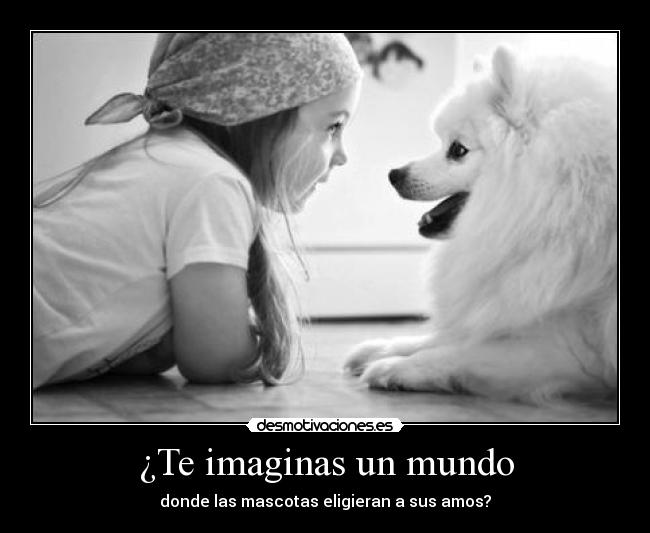 ¿Te imaginas un mundo - 