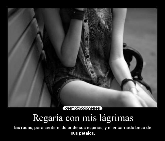 Regaría con mis lágrimas - las rosas, para sentir el dolor de sus espinas, y el encarnado beso de sus pétalos.