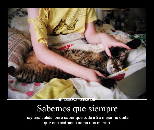 Sabemos que siempre - 