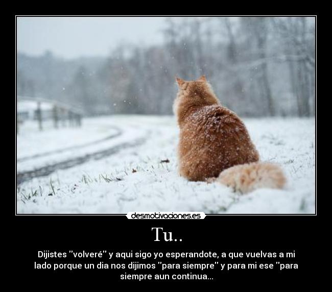 Tu.. - Dijistes volveré y aqui sigo yo esperandote, a que vuelvas a mi
lado porque un dia nos dijimos para siempre y para mi ese para
siempre aun continua...