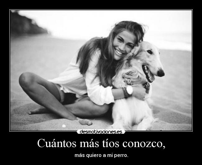 carteles loveeeeeeeeeeeee dog desmotivaciones