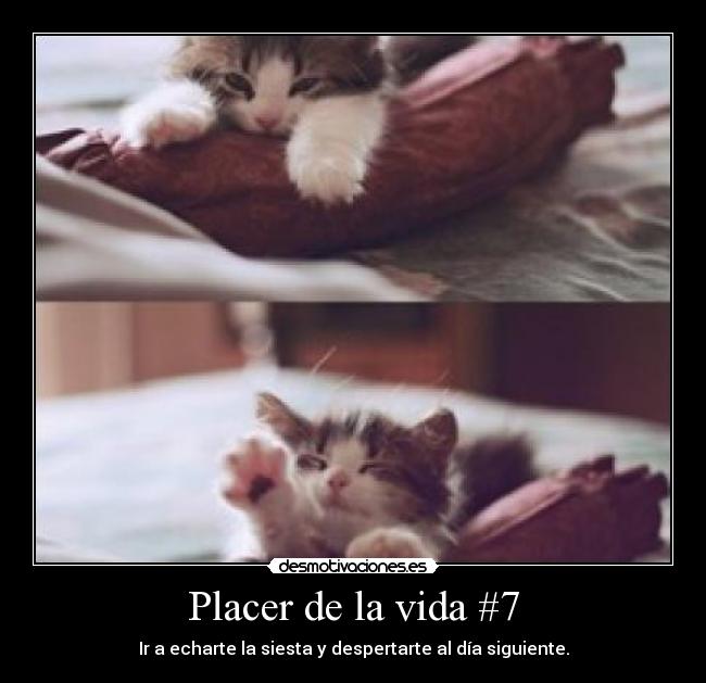 Placer de la vida #7 -
