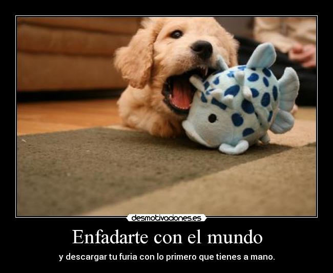 Enfadarte con el mundo - y descargar tu furia con lo primero que tienes a mano.