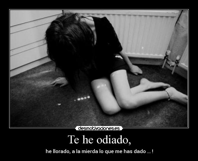 carteles nunca desmotivaciones