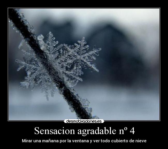 Sensacion agradable nº 4 - Mirar una mañana por la ventana y ver todo cubierto de nieve