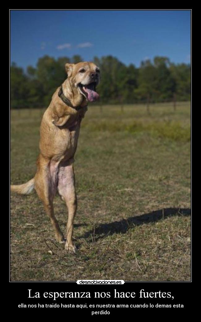 La esperanza nos hace fuertes, - ella nos ha traido hasta aqui, es nuestra arma cuando lo demas esta perdido