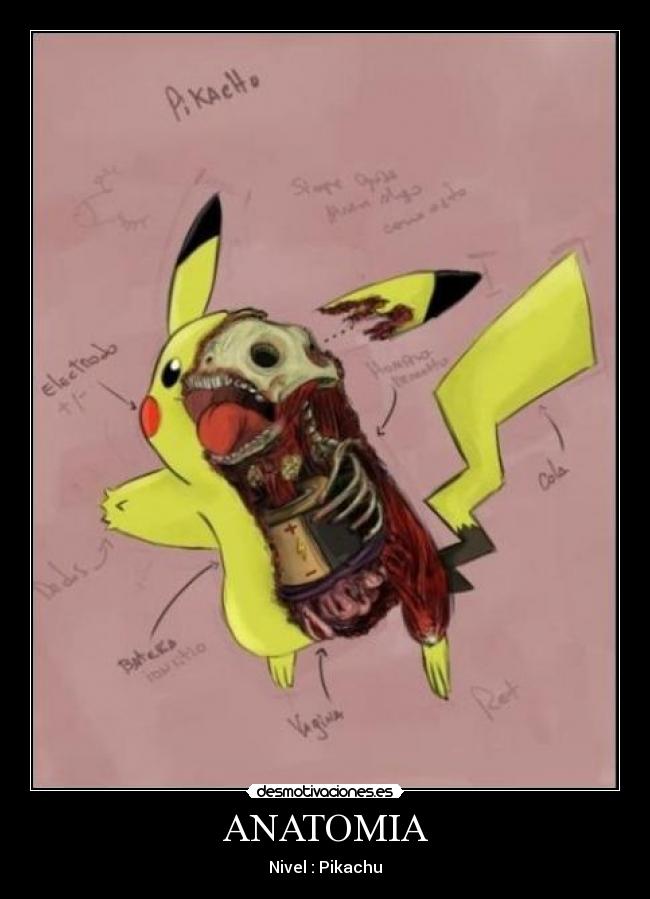 ANATOMIA - Nivel : Pikachu
