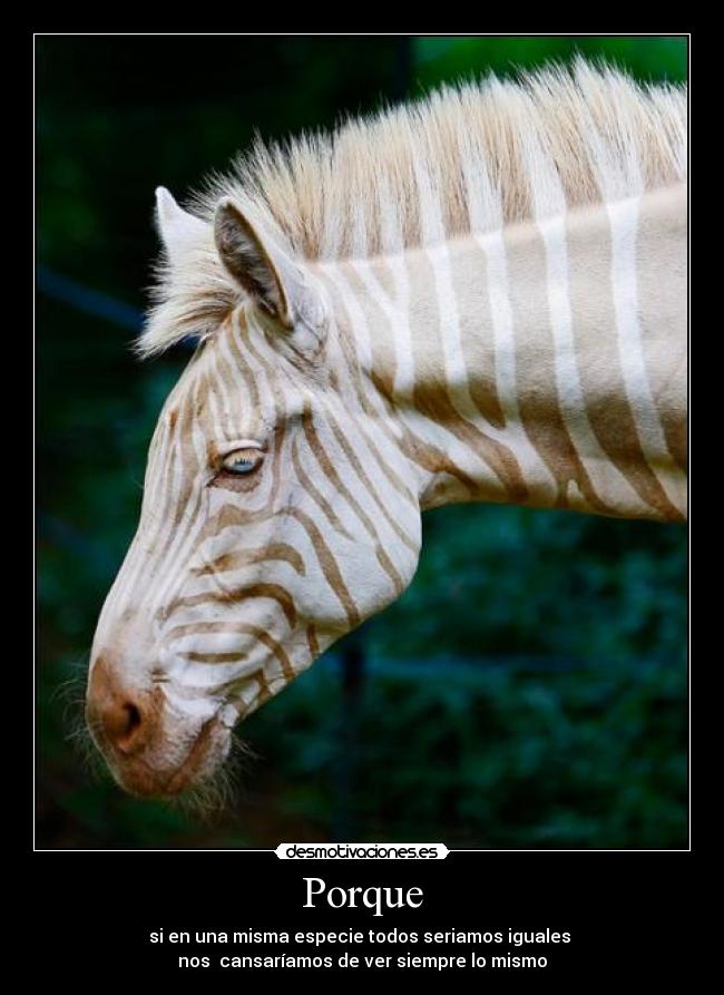 Porque - si en una misma especie todos seriamos iguales 
nos  cansaríamos de ver siempre lo mismo