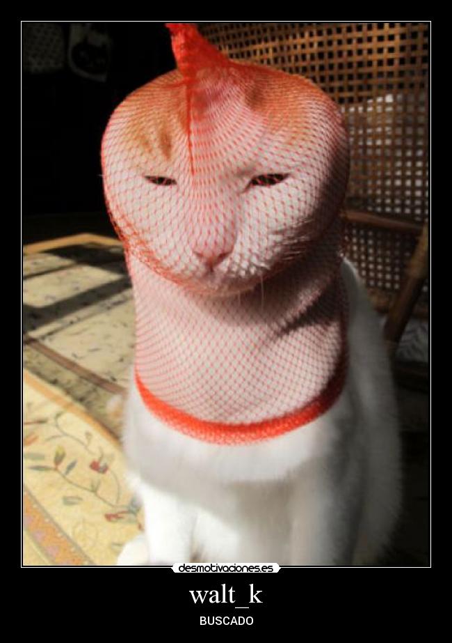walt_k - BUSCADO