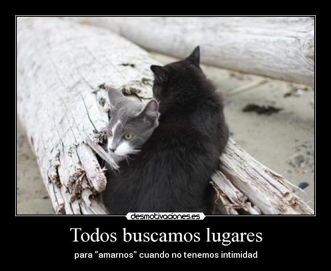 Todos buscamos lugares - para amarnos cuando no tenemos intimidad