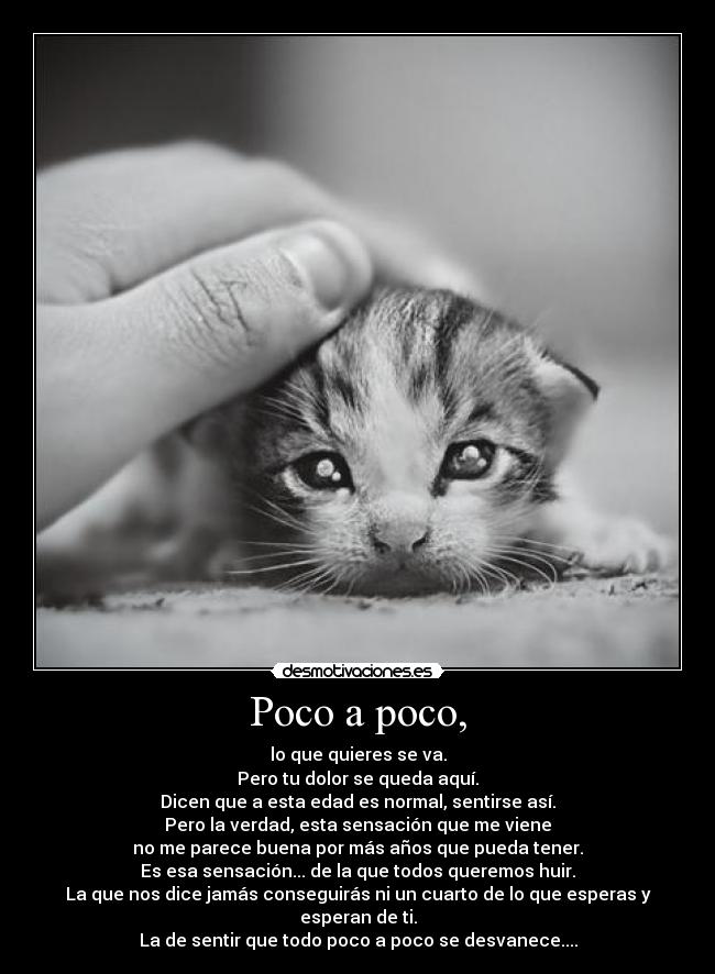 Poco a poco, - lo que quieres se va.
Pero tu dolor se queda aquí.
Dicen que a esta edad es normal, sentirse así.
Pero la verdad, esta sensación que me viene
no me parece buena por más años que pueda tener.
Es esa sensación... de la que todos queremos huir.
La que nos dice jamás conseguirás ni un cuarto de lo que esperas y esperan de ti.
La de sentir que todo poco a poco se desvanece....