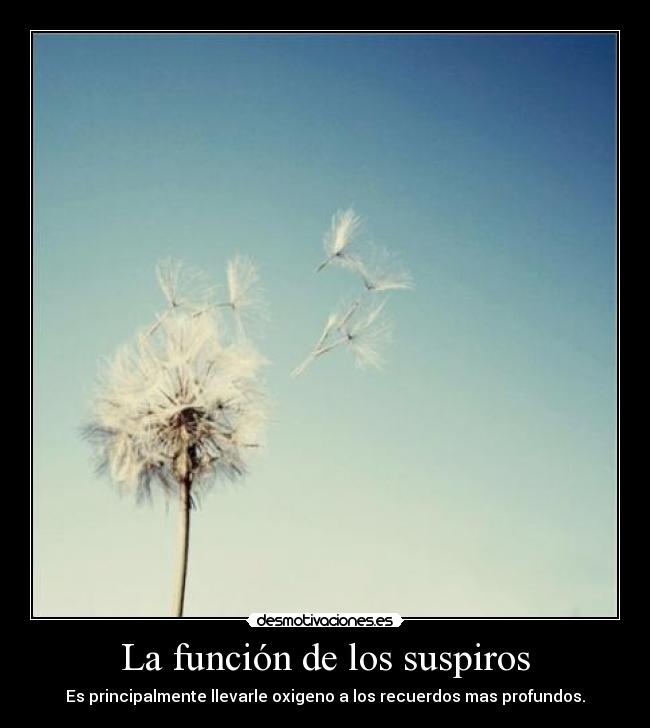 carteles bernardo ramos alvarez desmotivaciones